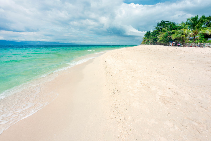 Indi Dive Trip to Moalboal, the Philippines, June 2025